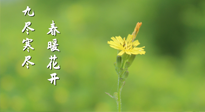 【九九養(yǎng)生】三月四日“九九日”，寒冬已過。春天養(yǎng)好身，全年不怕?。? />
                    </a>
                </div>
            </li>
            
            <li id=