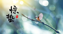 【二十四節(jié)氣灸】驚蟄節(jié)氣，艾灸喚醒抵抗力、補充陽氣的最好時機！