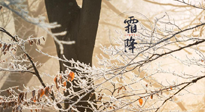 【二十四節(jié)氣灸】霜降節(jié)氣：艾灸四穴，護(hù)您冬天安然無(wú)恙！