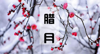 【臘月養(yǎng)生】調(diào)氣血、補陽氣、促進良好睡眠，健康一整年！