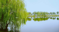 【艾灸知識】春三月，必艾灸穴位：疏肝理氣，養(yǎng)血調(diào)神！