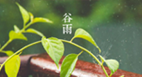 【二十四節(jié)氣灸】谷雨節(jié)氣脾土濕，艾灸降濕濁，脾旺不受邪！
