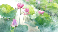 【養(yǎng)生知識】花開半夏，夏至養(yǎng)生，這些知識一定要牢記！