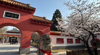 【行業(yè)資訊】新華財經(jīng)：守正創(chuàng)新，中醫(yī)藥品牌化發(fā)展“更上一層樓”！