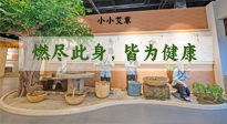 【艾草知識】小小艾草，渾身是寶，一生燃盡此身，皆為健康！